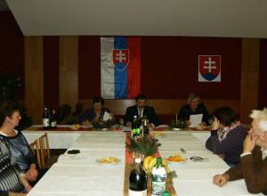 ustanovujuCC81ce-zastupitelCC8Cstvo-10.12.2014-0041_original