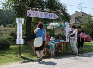 IMG_3805_original